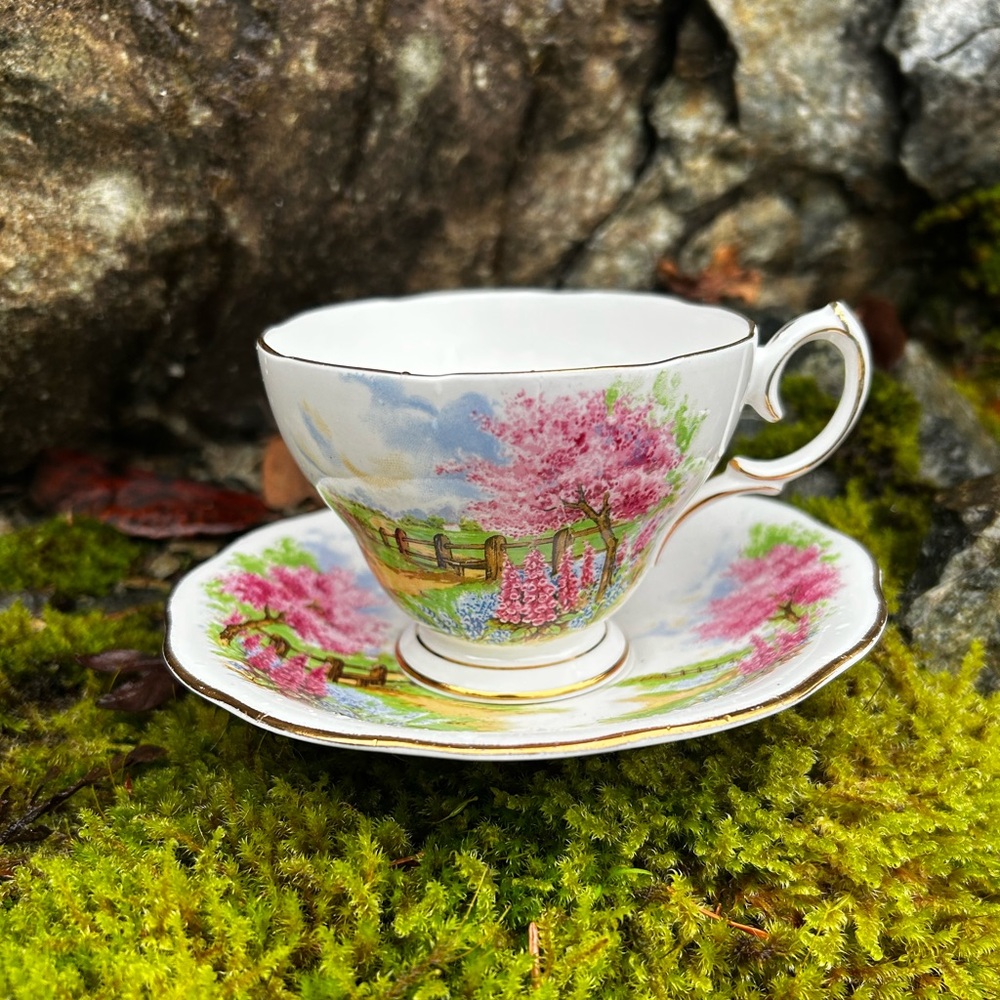 Queen Anne Meadowside Teacup and Saucer Set - Pink and Green